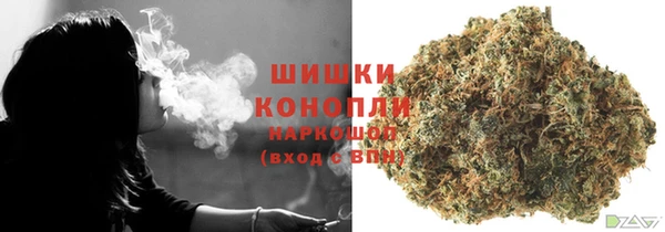мет Ладушкин