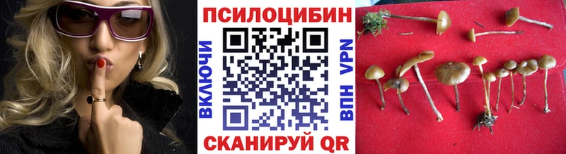Галлюциногенные грибы ЛСД  купить наркотики сайты  Новоульяновск 